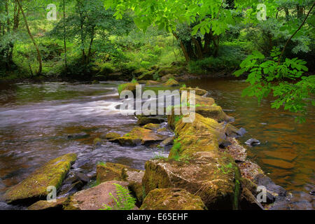 Großbritannien, Derbyshire, Peak District, River Derwent und Stepping Stones in der Nähe von Hathersage Stockfoto