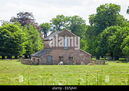 18. Jahrhundert Hirschhaus, Dunham Massey Hall und Park, Altrincham, größere Manchester Cheshire Stockfoto