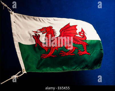 Walisische Nationalflagge walisischen Drachen Stockfoto