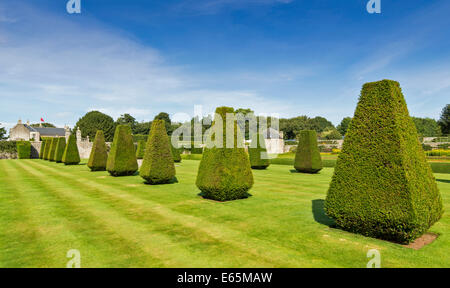 PITMEDDEN GÄRTEN-ABERDEENSHIRE-SCHOTTLAND MIT EINEM TWIN-OGEE ÜBERDACHTEN PAVILLON UND DER FORMSCHNITT ALLEE DER ABGESCHNITTENE EIBE BÜSCHE Stockfoto