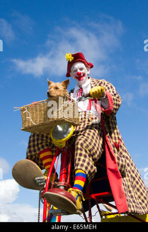 Spaß, Comic, Entertainer. Clownfahrt mit Hund im Korb in Southport, Merseyside, Großbritannien. August 2014. G Sharpe als „Sunny“, der mit seinem Hund bei Großbritanniens größter unabhängiger Blumenshow herumwirbelt. Stockfoto