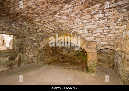 TOLQUHON SCHLOSS ABERDEENSHIRE SCHOTTLAND INNEN KÜCHE KAMIN UND OFEN Stockfoto