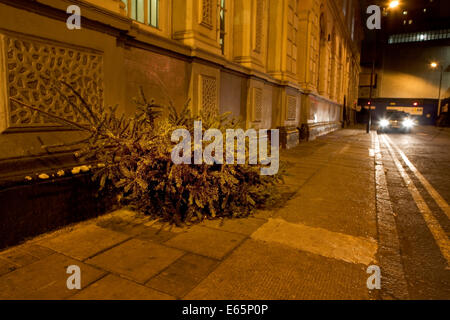 Ein ausrangierter Weihnachtsbaum liegt auf einem London-Pflaster in der Nacht während ein Auto und Straße Lampe beleuchtet. Stockfoto