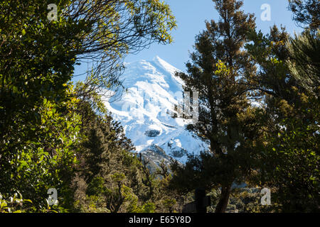 Schneebedeckte Gipfel des Mount Egmont umrahmt von einer Neuseeland Buschlandschaft. Stockfoto