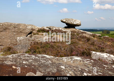 Natürlichen Felsformationen, verursacht durch Erosion in der Nähe von Summerbridge, North Yorkshire Stockfoto