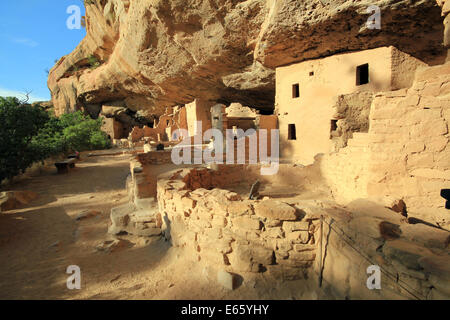 Spruce Tree House in Mesa Verde, Colorado, Vereinigte Staaten Stockfoto