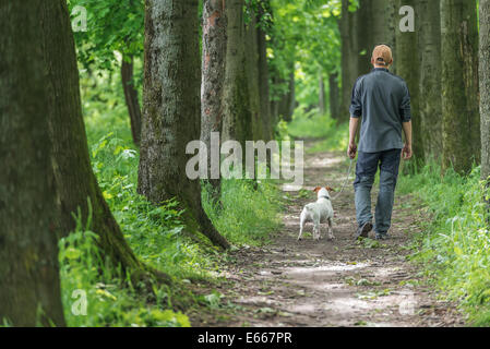 Mensch und Hund im Park spazieren Stockfoto