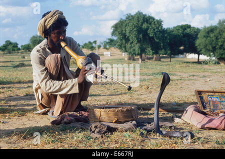 Snake Charmer und Cobra (Indien) Stockfoto