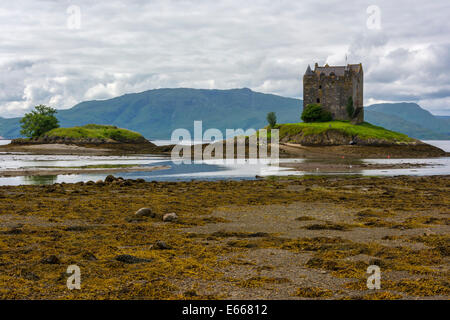 Castle Stalker, Loch Linnhe, Schottland Stockfoto