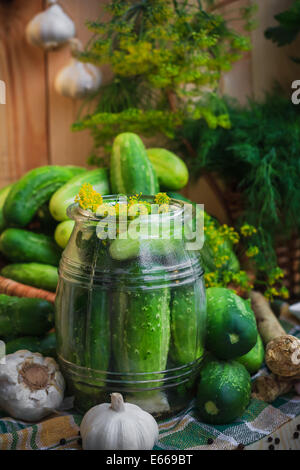 Glas mit Gurken und andere Zutaten für Beizen Stockfoto