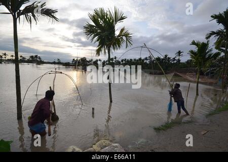 Assam, Indien. 15. August 2014. Ein indische Fischer trägt sein Fischernetz wie er bei Hochwasser bei Bhurbandha im Nagaon Bezirk Assam fischt. Bildnachweis: Simon Hazarika/Pacific Press/Alamy Live-Nachrichten Stockfoto