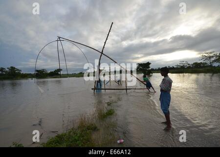 Assam, Indien. 15. August 2014. Ein indische Fischer trägt seine Fischernetz, wie er im Hochwasser bei Bhurbandha im Nagaon einige der 180 km östlich von Guwahati fischt. Bildnachweis: Simon Hazarika/Pacific Press/Alamy Live-Nachrichten Stockfoto