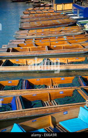 Flache auf der Cam Fluss, Cambridge, England, UK Stockfoto