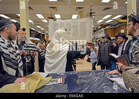 Tora-Rolle wird ausgelöst, nachdem eine Lesung am Wochentag Morgen Dienstleistungen Lubawitsch Hauptquartier in Brooklyn, New York. Stockfoto