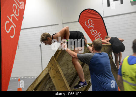 London, England, 16. August 2014: Hunderte von Ratte Rennfahrer teilgenommen das Tierheim River Rat Race London Fundraising für Obdachlose im Vereinigten Königreich im Londoner ExCel Centre. Foto: siehe Li Stockfoto