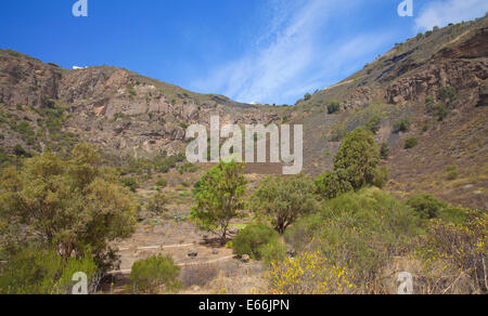 Gran Canaria, Caldera de Bandama, Weg am unteren Stockfoto