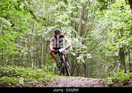 Stanmer Park, Stadt Brighton & Hove, East Sussex. Dies ist das jährliche Bigdog Mountain Trails Bike Race durch Teile des Stanmer Park im South Downs National Park, Brighton, East Sussex, Großbritannien. August 2014. David Smith/Alamy Live News Stockfoto