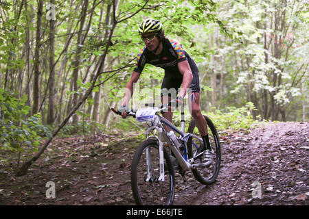 Stanmer Park, Stadt Brighton & Hove, East Sussex. Dies ist das jährliche Bigdog Mountain Trails Bike Race durch Teile des Stanmer Park im South Downs National Park, Brighton, East Sussex, Großbritannien. August 2014. David Smith/Alamy Live News Stockfoto