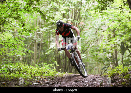 Stanmer Park, Stadt Brighton & Hove, East Sussex. Dies ist das jährliche Bigdog Mountain Trails Bike Race durch Teile des Stanmer Park im South Downs National Park, Brighton, East Sussex, Großbritannien. August 2014. David Smith/Alamy Live News Stockfoto