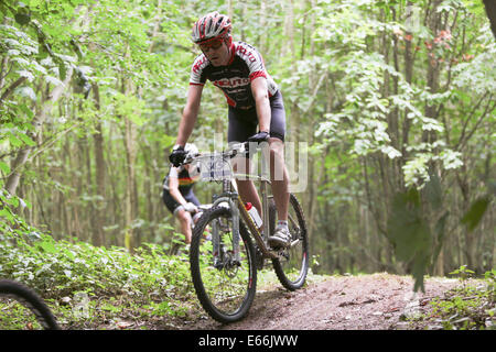 Stanmer Park, Stadt Brighton & Hove, East Sussex. Dies ist das jährliche Bigdog Mountain Trails Bike Race durch Teile des Stanmer Park im South Downs National Park, Brighton, East Sussex, Großbritannien. August 2014. David Smith/Alamy Live News Stockfoto