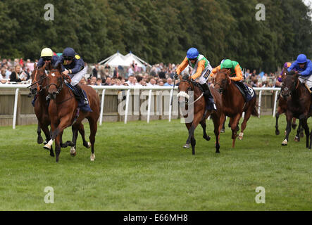 Newmarket, Großbritannien. 16. August 2014. Best of British Sporttag. Waffenkoffer unter Nicky Mackay The Racing Wohlfahrt EBF Hengste Maiden Stakes zu gewinnen. Bildnachweis: Aktion Plus Sport/Alamy Live-Nachrichten Stockfoto