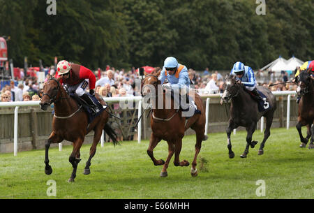 Newmarket, Großbritannien. 16. August 2014. Best of British Sporttag. Östlichen Auswirkungen unter Jack Garritty The Thames Materialien Stakes Handicap zu gewinnen. Bildnachweis: Aktion Plus Sport/Alamy Live-Nachrichten Stockfoto