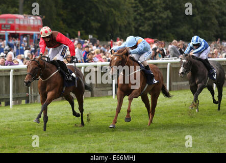 Newmarket, Großbritannien. 16. August 2014. Best of British Sporttag. Östlichen Auswirkungen unter Jack Garritty The Thames Materialien Stakes Handicap zu gewinnen. Bildnachweis: Aktion Plus Sport/Alamy Live-Nachrichten Stockfoto