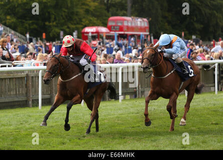 Newmarket, Großbritannien. 16. August 2014. Best of British Sporttag. Östlichen Auswirkungen unter Jack Garritty The Thames Materialien Stakes Handicap zu gewinnen. Bildnachweis: Aktion Plus Sport/Alamy Live-Nachrichten Stockfoto