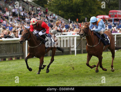 Newmarket, Großbritannien. 16. August 2014. Best of British Sporttag. Östlichen Auswirkungen unter Jack Garritty The Thames Materialien Stakes Handicap zu gewinnen. Bildnachweis: Aktion Plus Sport/Alamy Live-Nachrichten Stockfoto