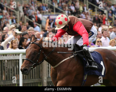 Newmarket, Großbritannien. 16. August 2014. Best of British Sporttag. Östlichen Auswirkungen unter Jack Garritty The Thames Materialien Stakes Handicap zu gewinnen. Bildnachweis: Aktion Plus Sport/Alamy Live-Nachrichten Stockfoto