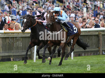 Newmarket, Großbritannien. 16. August 2014. Best of British Sporttag. Fattsota unter Pat Dobbs der Betfair unterstützt Racing Wohlfahrt Handicap Stakes zu gewinnen. Bildnachweis: Aktion Plus Sport/Alamy Live-Nachrichten Stockfoto