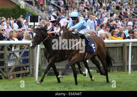 Newmarket, Großbritannien. 16. August 2014. Best of British Sporttag. Fattsota unter Pat Dobbs der Betfair unterstützt Racing Wohlfahrt Handicap Stakes zu gewinnen. Bildnachweis: Aktion Plus Sport/Alamy Live-Nachrichten Stockfoto