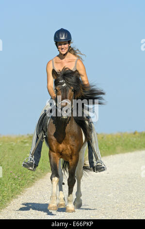 Junge Reiter Reiten auf Rückseite ein Islandpferd-Hengst Stockfoto