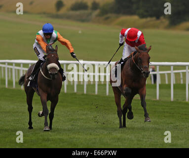 Newmarket, Großbritannien. 16. August 2014. Best of British Sporttag. Emerahldz unter Jack Garritty The Jockey Club unterstützt Racing Wohlfahrt Handicap Stakes zu gewinnen. Bildnachweis: Aktion Plus Sport/Alamy Live-Nachrichten Stockfoto