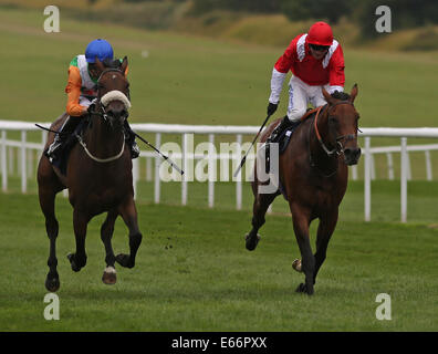 Newmarket, Großbritannien. 16. August 2014. Best of British Sporttag. Emerahldz unter Jack Garritty The Jockey Club unterstützt Racing Wohlfahrt Handicap Stakes zu gewinnen. Bildnachweis: Aktion Plus Sport/Alamy Live-Nachrichten Stockfoto