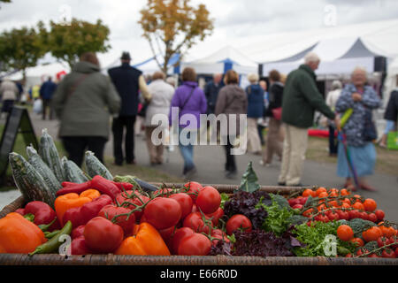 Southport, Merseyside, England.  16. August 2014.  Obst anzeigen und Massen an Großbritanniens größte unabhängige Blumenschau.   Bildnachweis: Mar Photographics/Alamy Live-Nachrichten. Stockfoto