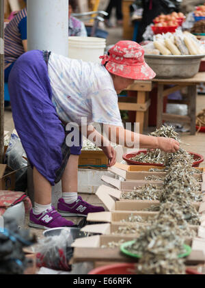 Markt-Verkäufer verkaufen Sardellen Fischbestand im Markt Busan, Südkorea. Stockfoto