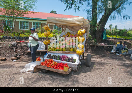 Frau an der Seite von ihrem Marktstand verkaufen Obst Bananen-Melonen-Papaya-Avocado-Tomaten am Rande der Stadt Nakuru Kenia Afrika Stockfoto