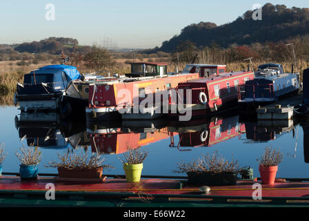 Hausboote festgemacht in Auchinstarry Marina am Forth & Clyde Kanal. Stockfoto