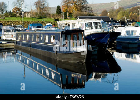 Hausboote festgemacht in Auchinstarry Marina am Forth & Clyde Kanal. Stockfoto