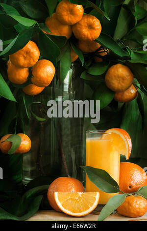 Mandarine und Orangensaft mit frischer Mandarine Niederlassungen in hohe Vase. Selektiven Fokus. Stockfoto