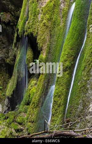 Oberlauf des Flusses Ruzzo Stockfoto