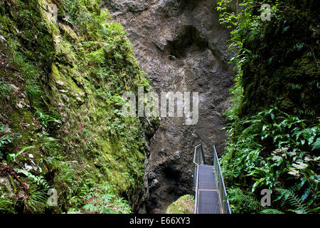 Italien, Veneto, Recoaro Terme, Montagna spaccata Stockfoto