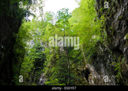 Italien, Veneto, Recoaro Terme, Montagna spaccata Stockfoto