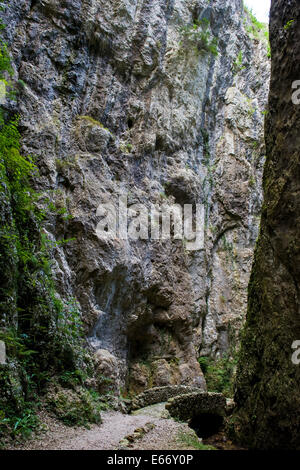 Italien, Veneto, Recoaro Terme, Montagna spaccata Stockfoto