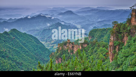 130 km2 im Bereich gemessen, Zhangjiajie National Forest Park gehört der Wulingyuan Scenic Area. Der Park ist bekannt für th Stockfoto