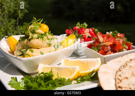 Hummus, eines der traditionellen arabischen Gerichte Stockfoto