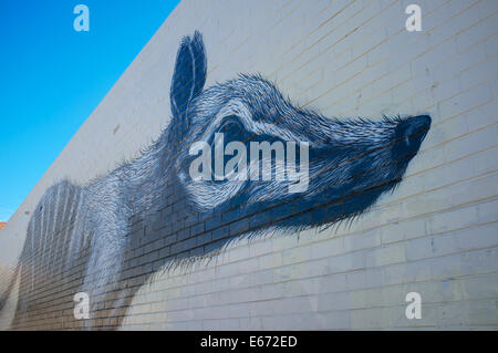 Ein 25 Meter Numbat gesprüht auf einer Wand in Henderson Street Mall in Fremantle, Western Australia Stockfoto