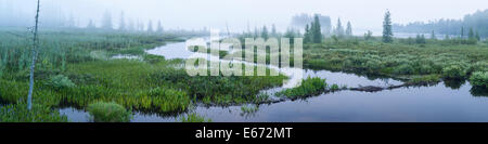 Einen nebligen Morgendämmerung am Browns Trakt Inlet Raquette See in den Adirondack Mountains of New York Stockfoto