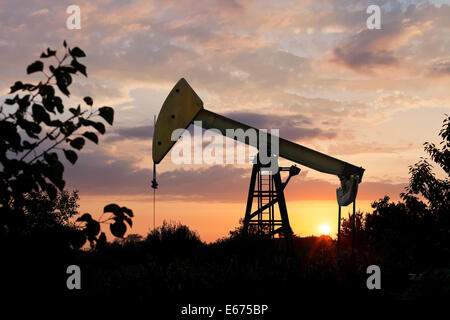 Bohrschwengels Pumpen Öl in Kaukasus-Region im Sommer Sonnenuntergang Stockfoto